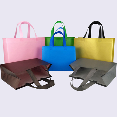 Shopping Bags with Handles