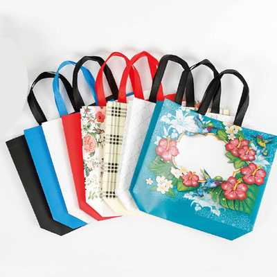 eco-friendly non woven shopping bag cheap