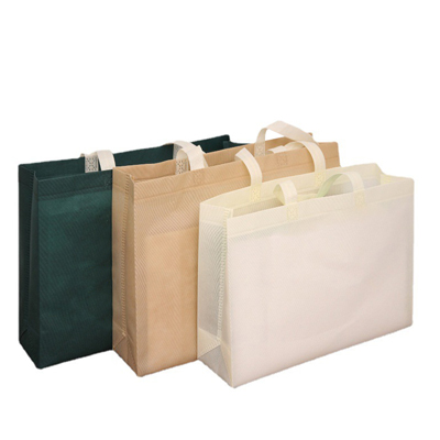 PP Foldable Non-woven Bag