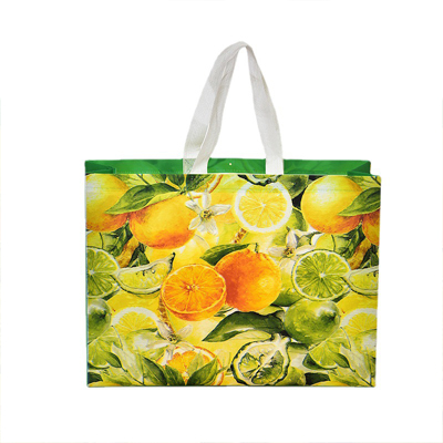 Wholesale Promotional Cheap Reusable Eco Non-woven Fabric Gift Bag With Ribbon Non-woven Gift Grocery Shopping Bag