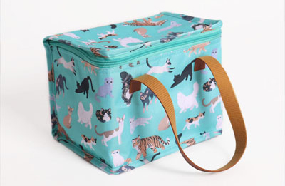 Lunch Cooler Bag